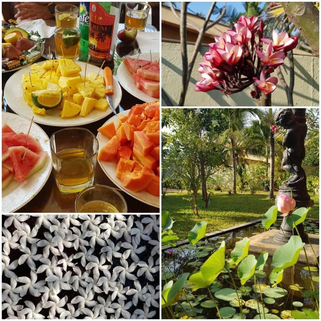Solomon Beach Hotel Marawila Εξωτερικό φωτογραφία